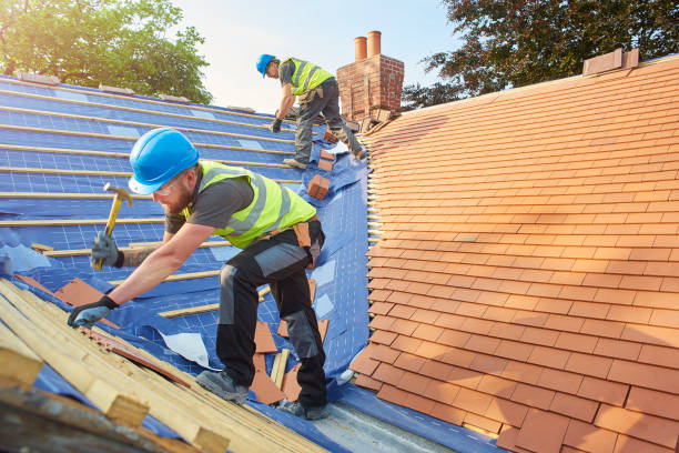 Best Emergency Roof Repair Services  in Carrollton, IL